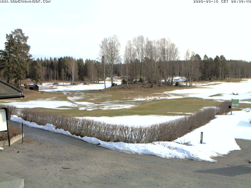 Camera Live Image