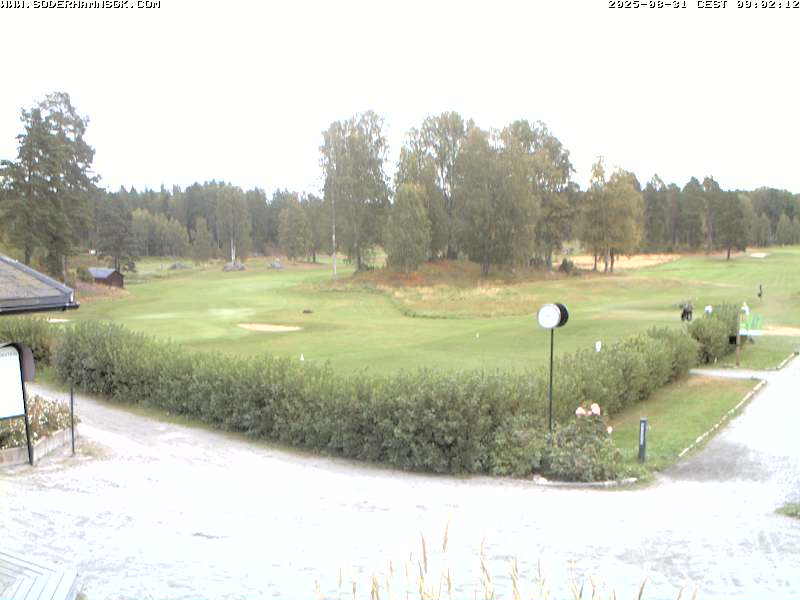 Camera Live Image